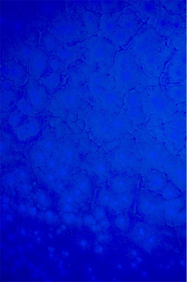 特殊话题：神性的体验4761.png